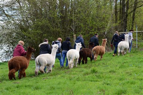 daniels kleine farm